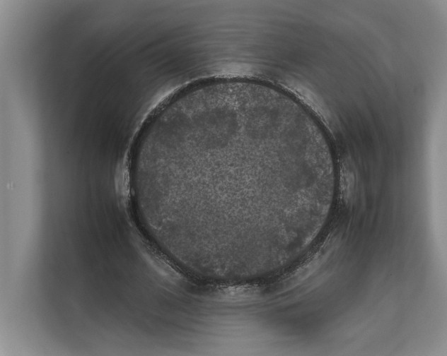 X0000111840584200908131420