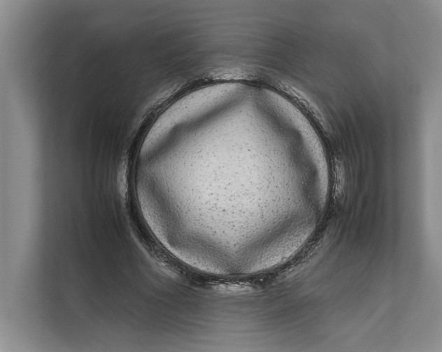 X0000111840586200908131420