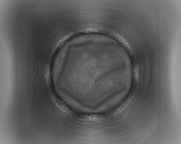 X0000111840588200908131420