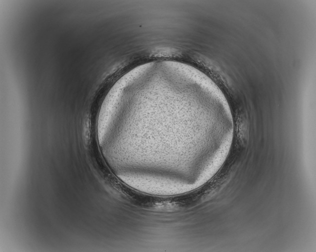 X0000111840591200908131420