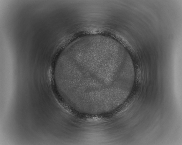 X0000111840594200908131420