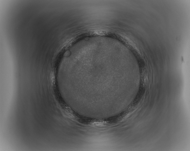 X0000111840595200908131420