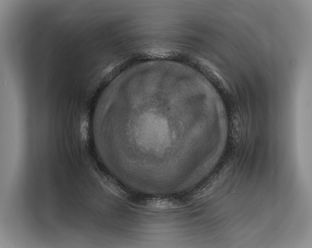 X0000111840596200908131420