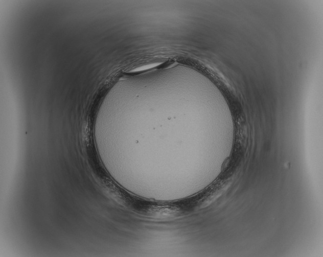 X0000111840597200908131420