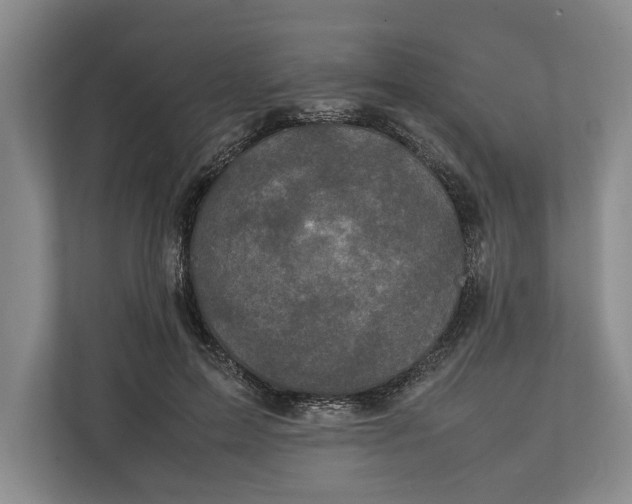 X0000111840599200908131420