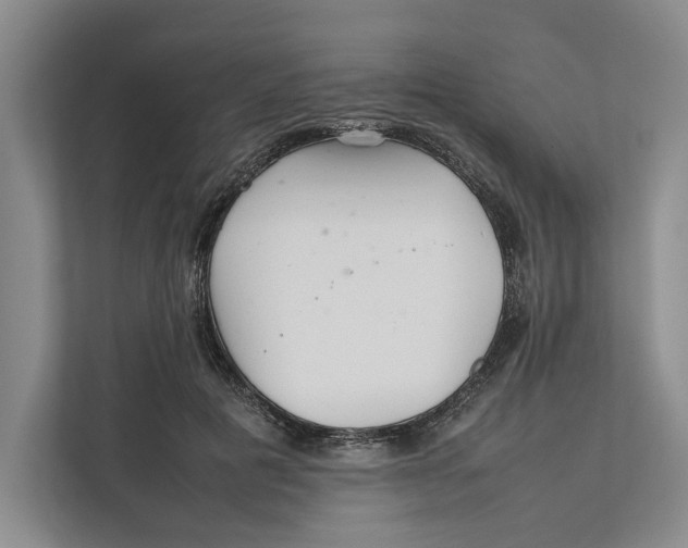 X0000111840601200908131420