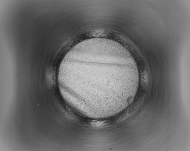 X0000111840602200908131420