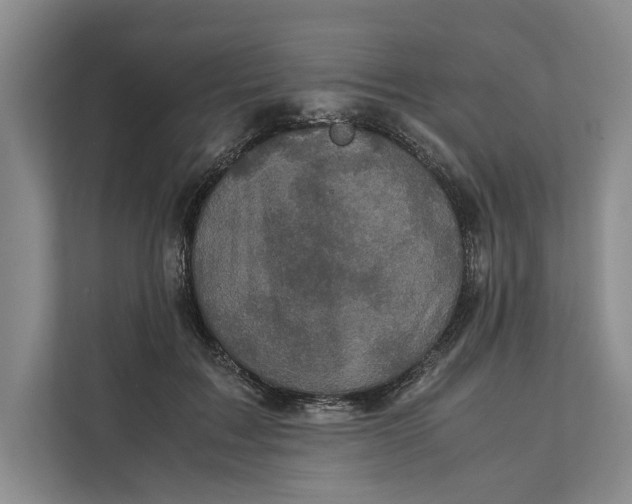 X0000111840603200908131420