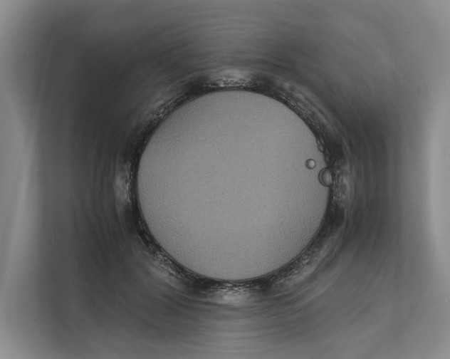 X0000111840604200908131420