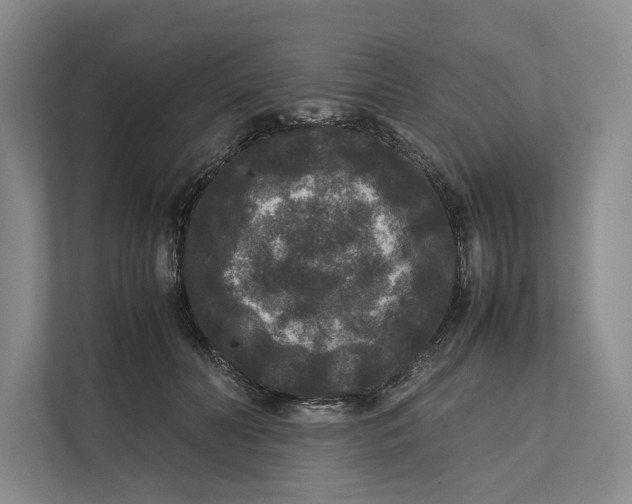 X0000111840606200908131420