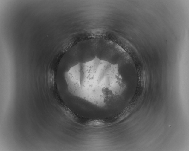 X0000111840610200908131420