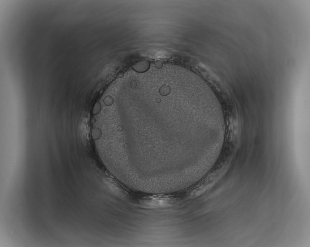 X0000111840612200908131420