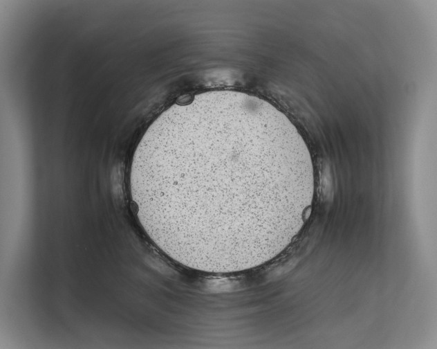 X0000111840616200908131420