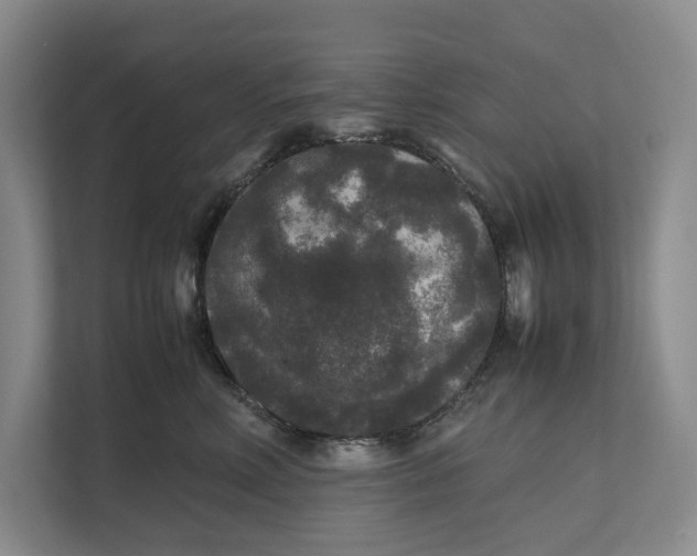 X0000111840618200908131420