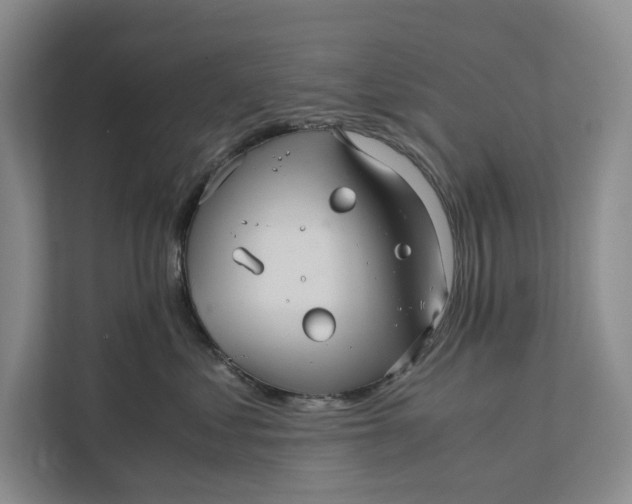 X0000111840621200908131420