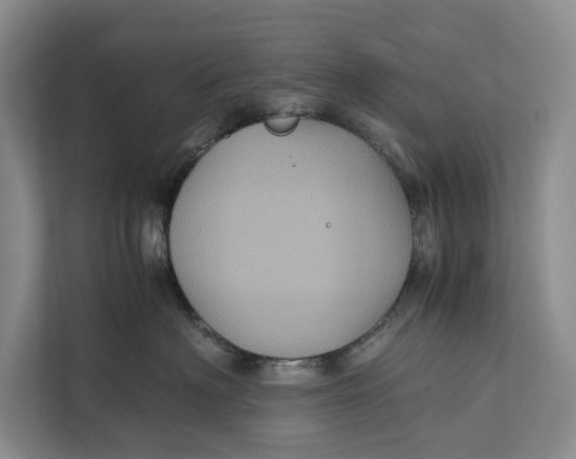 X0000111840622200908131420