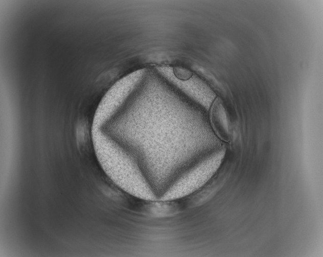 X0000111840623200908131420