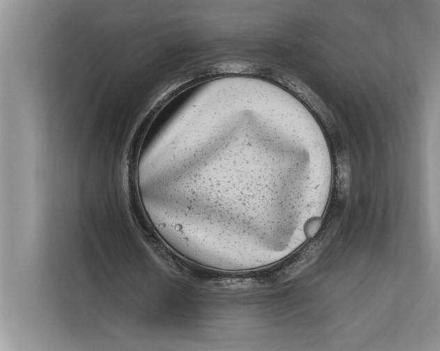 X0000111840626200908131419