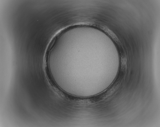 X0000111840628200908131419