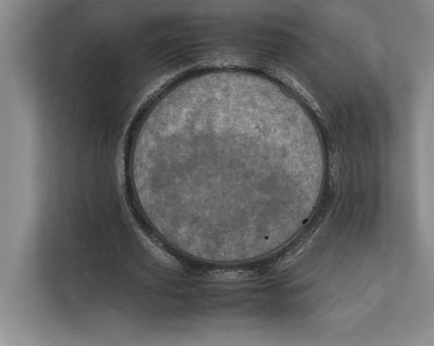 X0000111840629200908131419