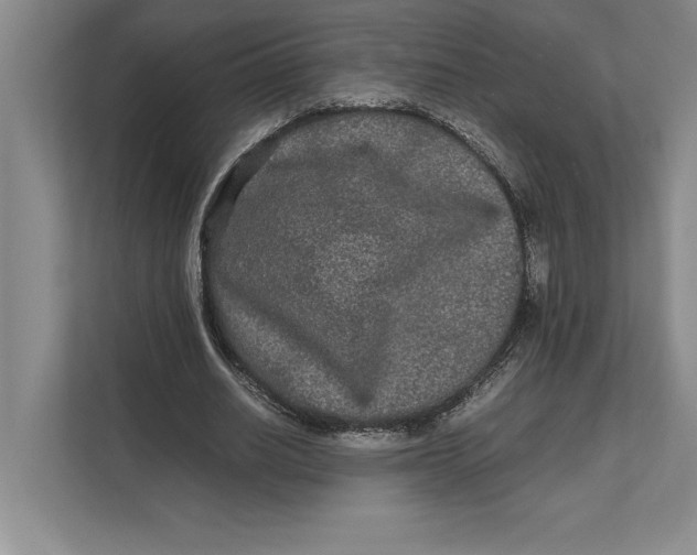 X0000111840630200908131419