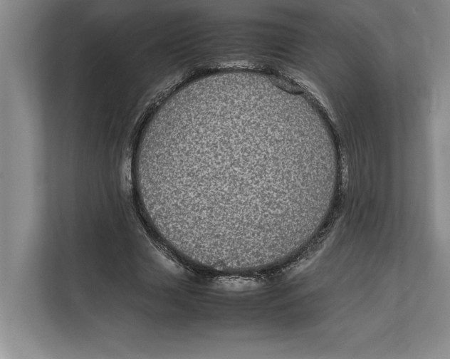 X0000111840633200908131419