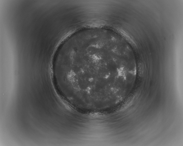 X0000111840634200908131419