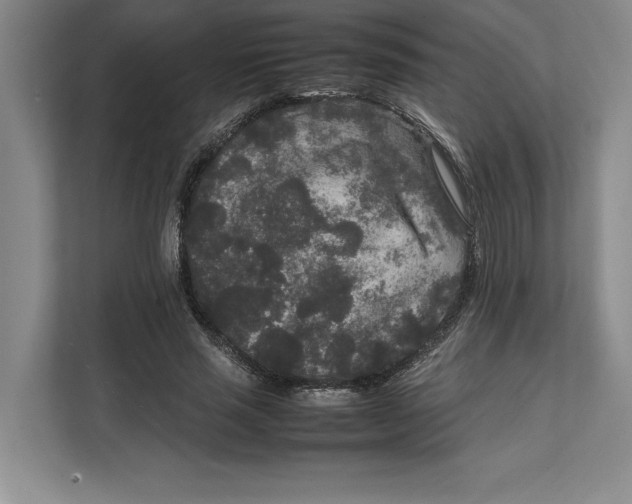 X0000111840637200908131419