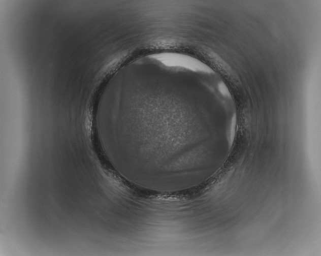 X0000111840640200908131419