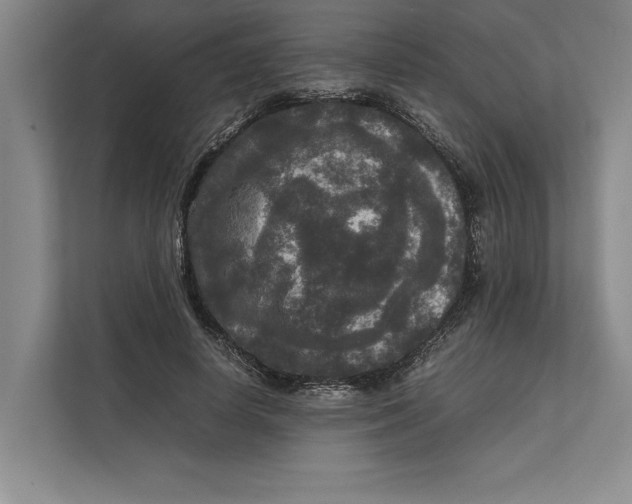 X0000111840642200908131419