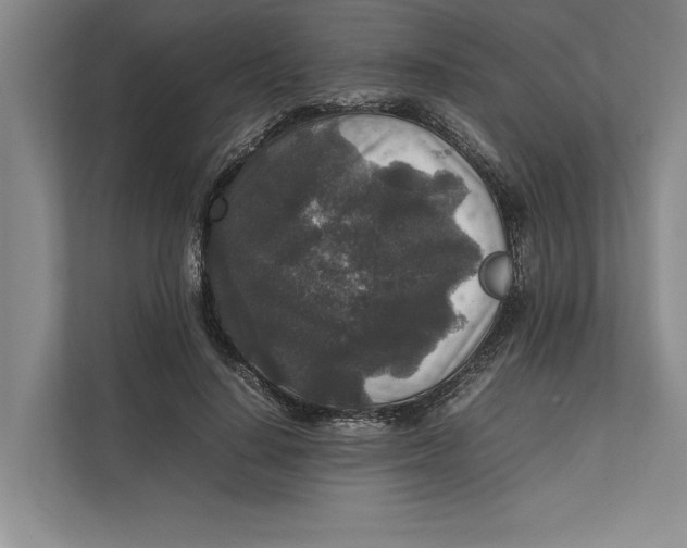 X0000111840644200908131419