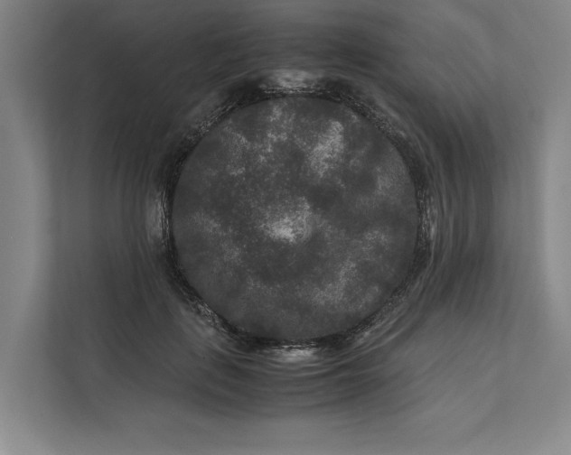 X0000111840651200908131420