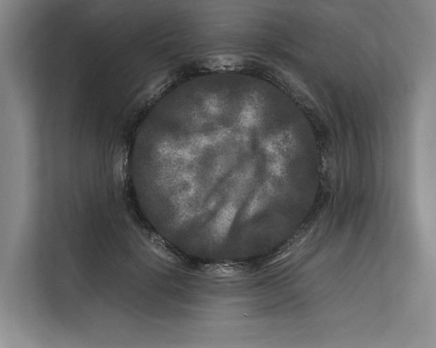 X0000111840652200908131420