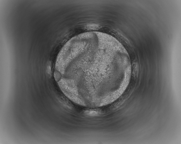 X0000111840655200908131420