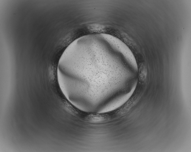 X0000111840658200908131420