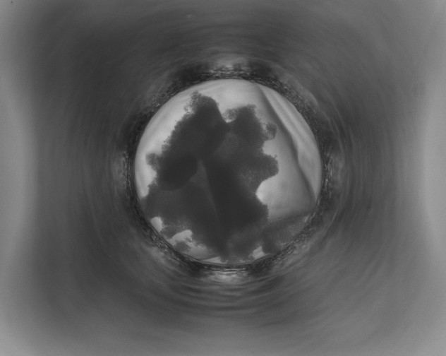 X0000111840659200908131420