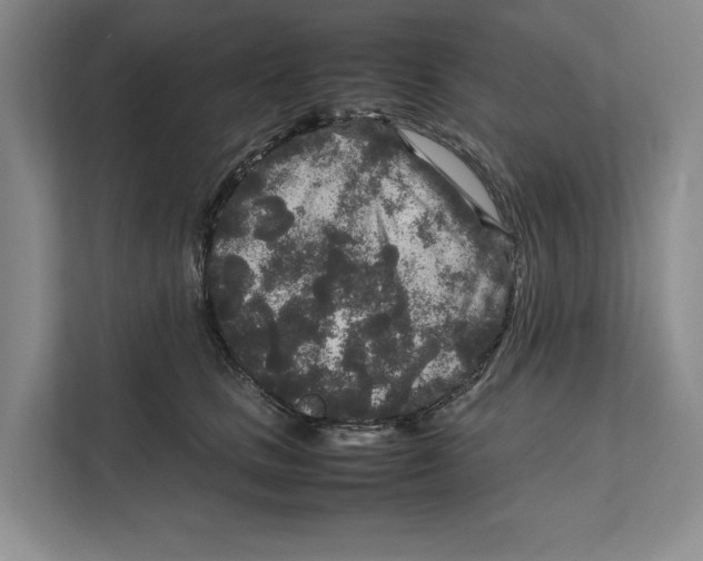 X0000111840661200908131420