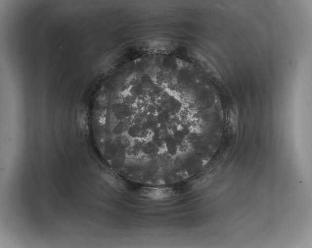 X0000111840663200908131420