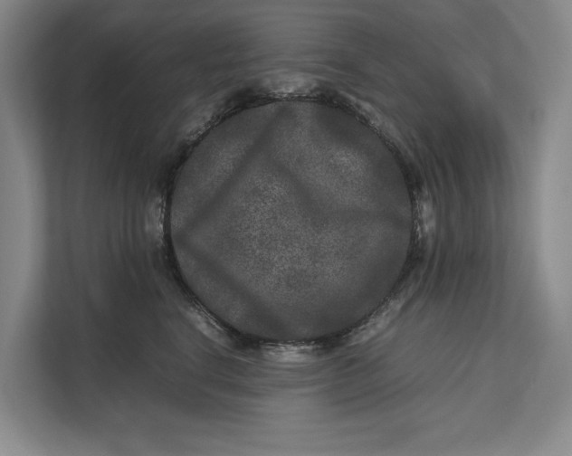 X0000111840664200908131420