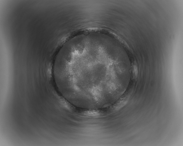 X0000111840668200908131420