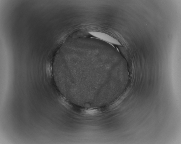 X0000111840669200908131420