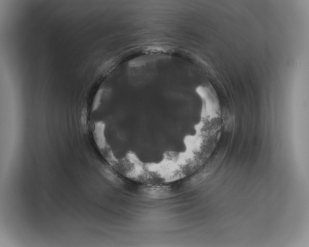 X0000111840670200908131420