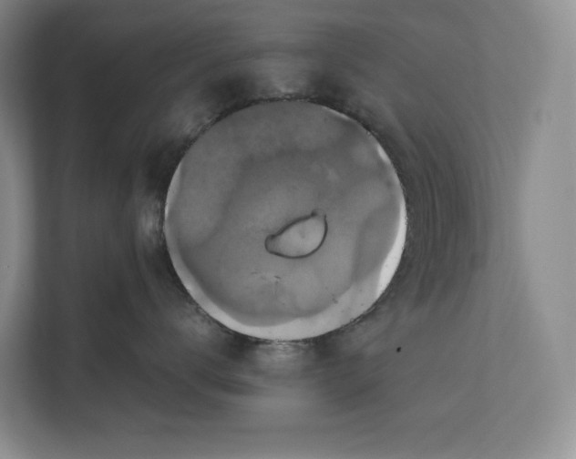 X0000111840672200908131420