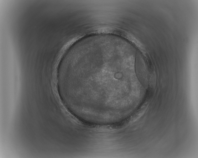 X0000111840673200908131419