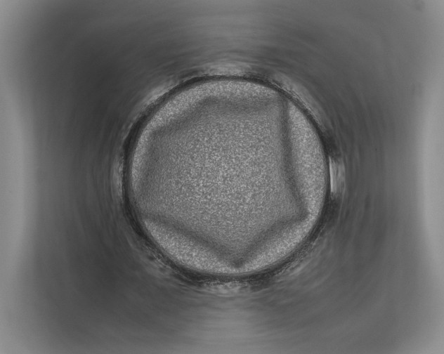 X0000111840675200908131419