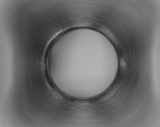 X0000111840676200908131419