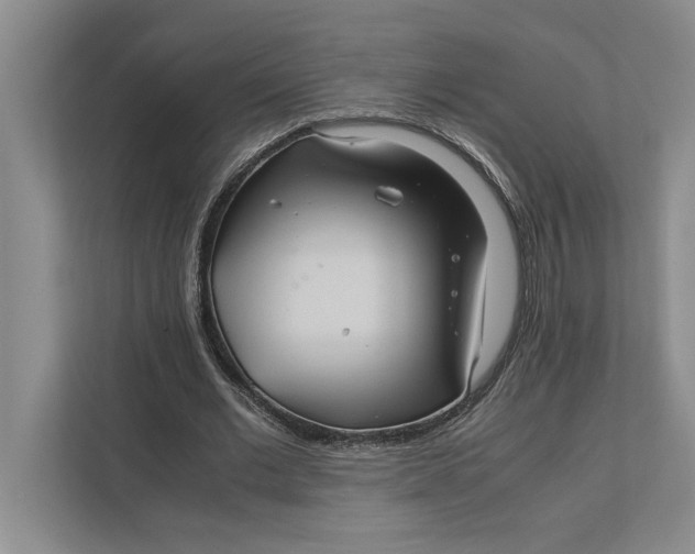 X0000111840677200908131419