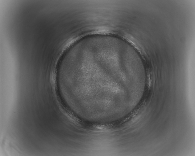 X0000111840679200908131419