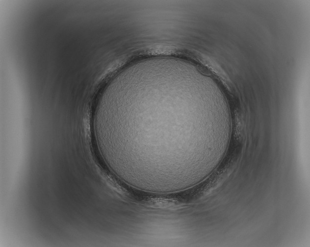 X0000111840681200908131419