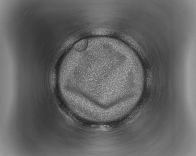 X0000111840683200908131419